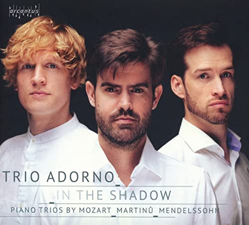 CD cover featuring three men’s portraits and text: “Trio Adorno – In The Shadow.”
