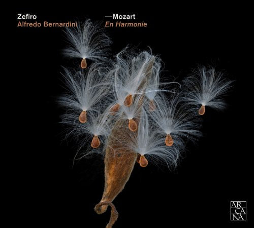 CD cover: close-up of dandelion seed heads against a black background.