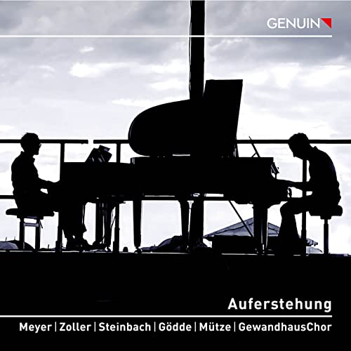 Silhouetted musicians at pianos against a cloudy sky, album cover art.