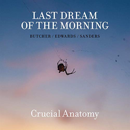 CD cover: blue sky with text and a hanging spider image.