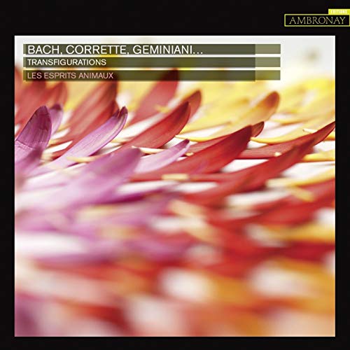 CD cover with abstract floral image and text: "Les Esprits Animaux.