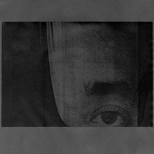 Close-up of a distorted face with one visible eye, grayscale.