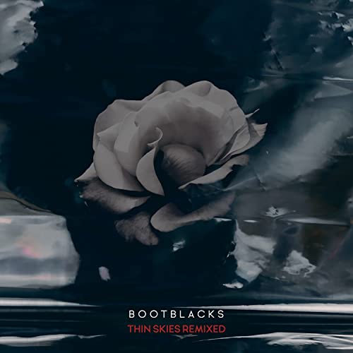 CD cover: a pale rose against a dark, textured, abstract background.