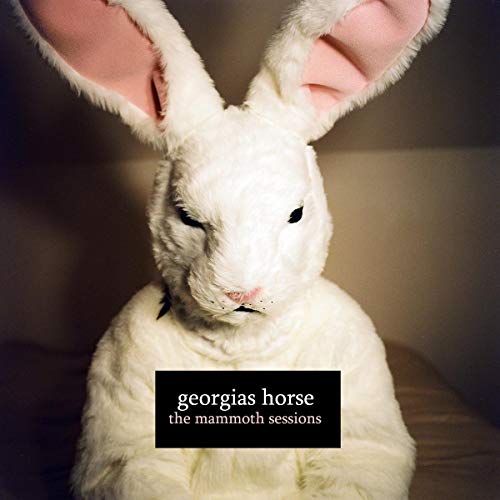 Rabbit with a horse's face, album cover for georgias horse.