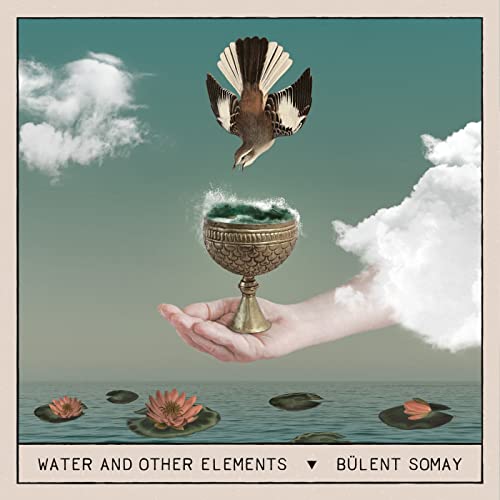 Hand holding a chalice with water, bird flying over water lilies.