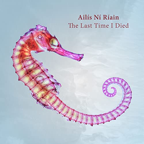 CD cover featuring a pink and red seahorse on a pale background.