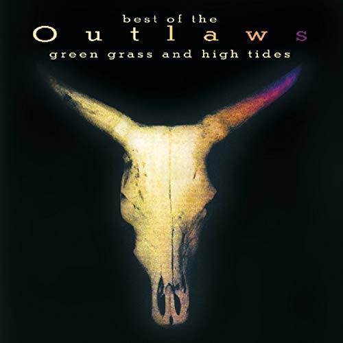 "Album cover with a longhorn skull on a black background."
