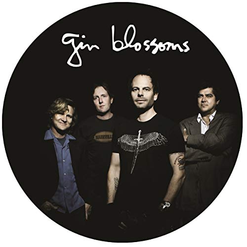 "Gin Blossoms vinyl record with band photo and tracklist on the back."