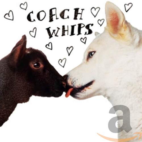 CD cover with two dogs facing each other, hearts scattered around.