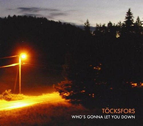"Album cover with a dark forest road lit by a streetlight at dusk."
