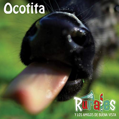 Close-up of a black donkey sticking its tongue out, album cover.
