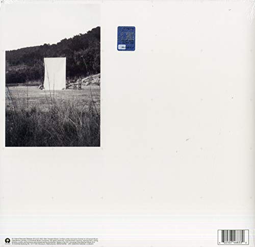 Album cover: man sitting before a white sheet with abstract blue lines.