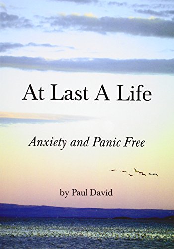 Book cover with serene ocean scene, birds flying, and title "At Last A Life" by Paul David.