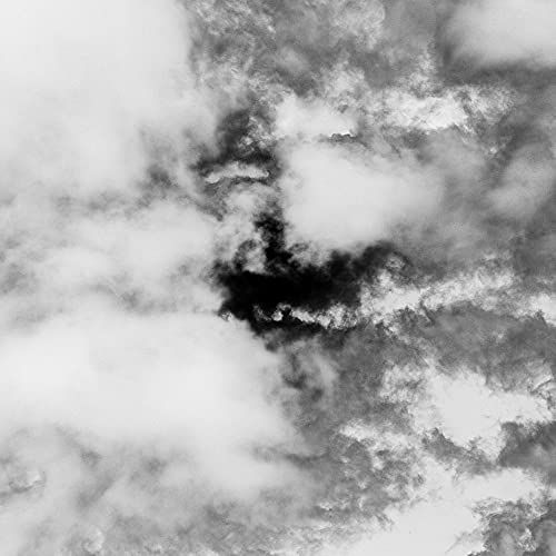 Abstract black and white cloud-like texture, vinyl record artwork.
