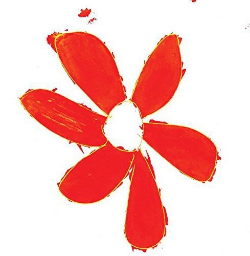 Red flower with textured petals against a white background.