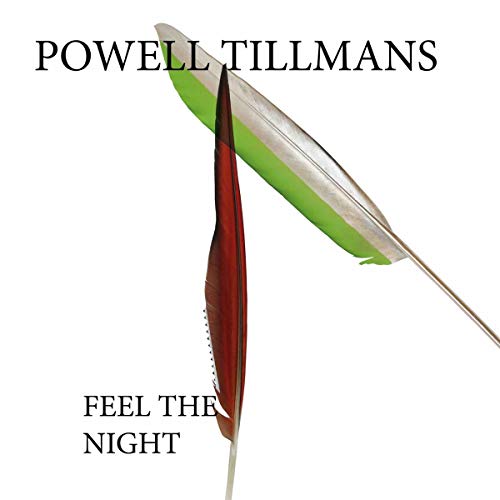 Album cover for Powell Tillmans’ “Spoken By The Other” featuring feathers.