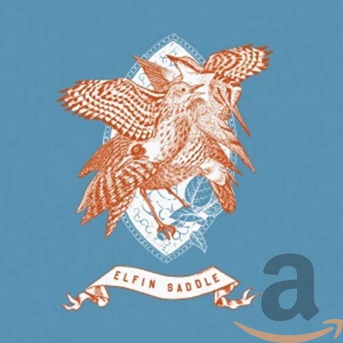 CD cover with detailed illustration of overlapping birds in orange tones.