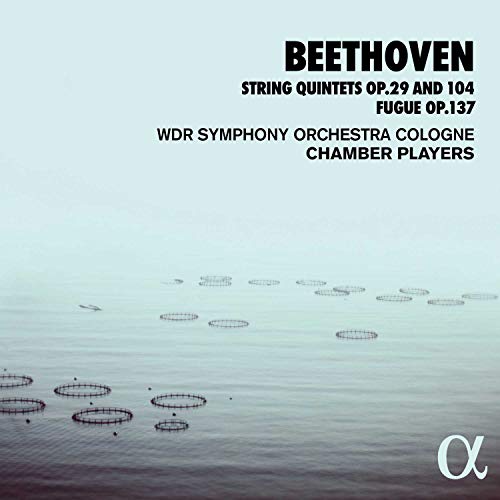 A CD cover featuring a serene body of water with circular nets.