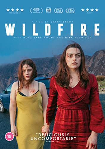 DVD cover for "Wildfire" featuring two distressed women in rural Ireland.