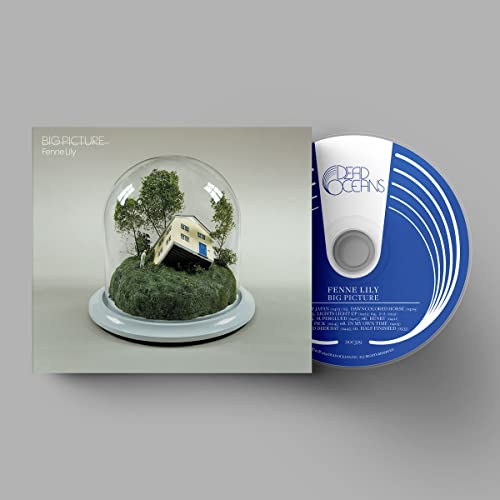 Fenne Lily's "Big Picture" CD case and disc with a house in a dome.