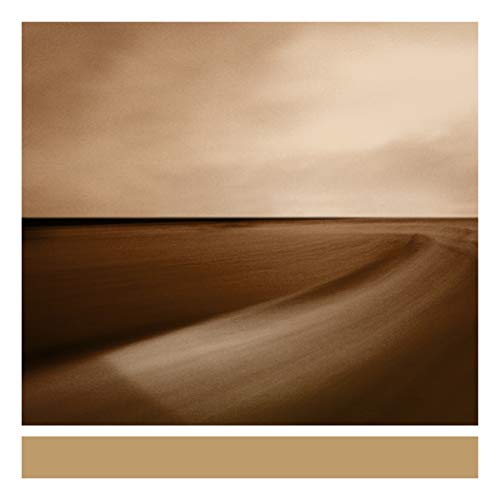 Abstract brown and beige seascape album cover for Eno’s “Small Craft.”