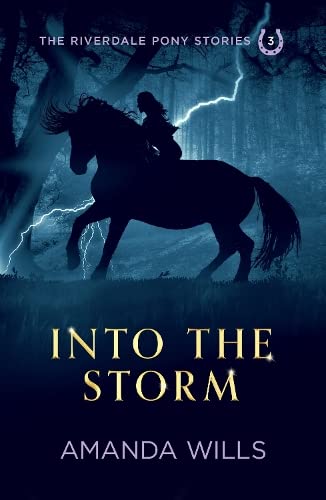 Into the Storm: 3 (The Riverdale Pony Stories)