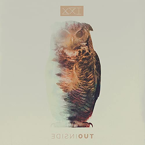 CD cover art featuring an owl with blurred, dissolving edges.