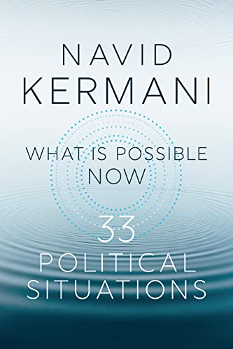 What is Possible Now: 33 Political Situations