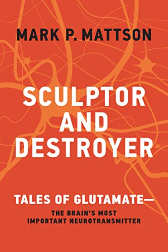Sculptor and Destroyer: Tales of Glutamatethe Brains Most Important Neurotransmitter