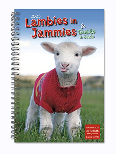Lambies in Jammies & Goats in Coats September 2022-December 2023 Weekly Planner (ENGAGEMENT 16 MONTH)