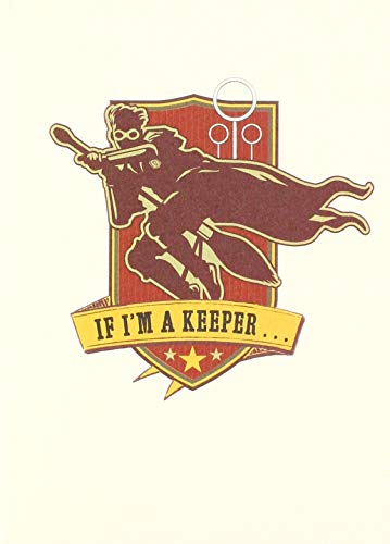 Harry Potter: Quidditch Pop-Up Card (Stationery)