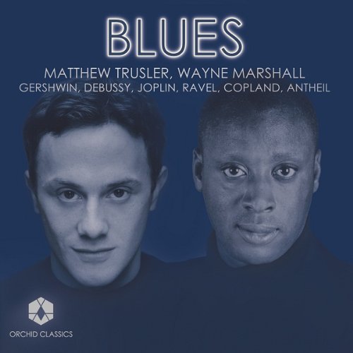 "Blue-tinted CD cover with two men's faces and 'BLUES' title."