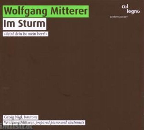 CD cover for Schubert’s “Im Sturm,” with green and white text on brown.