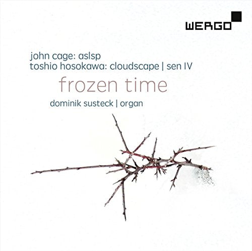 CD cover for "Frozen Time" featuring a bare branch against white.