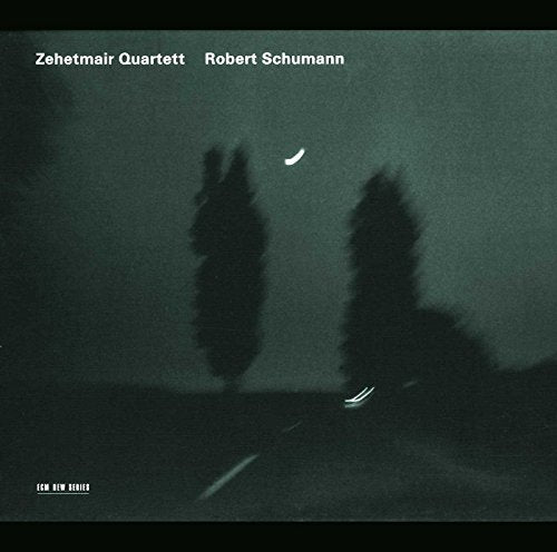 A dark, blurry album cover with trees, a road, and a moon.