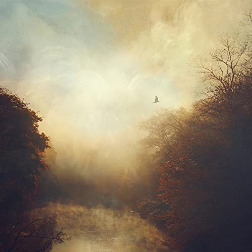 Golden, hazy landscape with silhouetted trees and a distant bird.