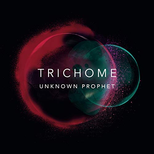 "Album cover with 'Trichome' and 'Unknown Prophet' text on a black background with red and green circles."