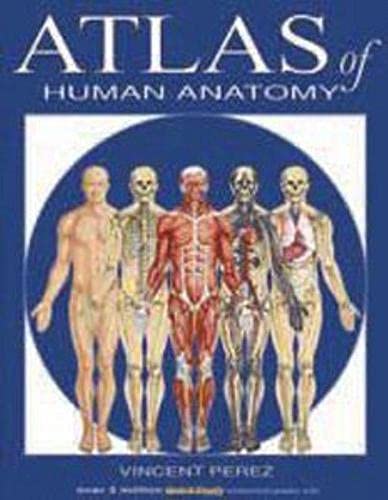 Atlas Of Human Anatomy (Quickstudy Books)