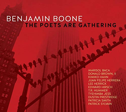 Red CD cover with birds on wires against a city skyline.