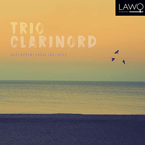 A CD cover featuring a serene ocean landscape with birds flying in the sky.