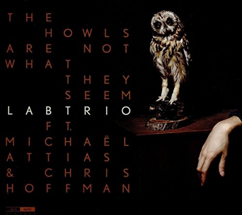 "Album cover with owl statue on wooden base and hand reaching towards it."