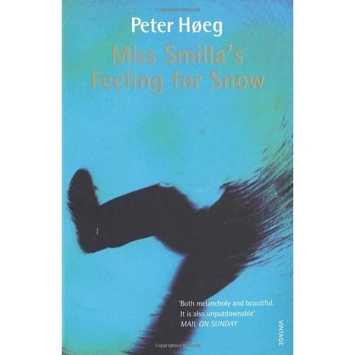 "Book cover featuring a person in red walking on a snowy landscape with bold title text."
