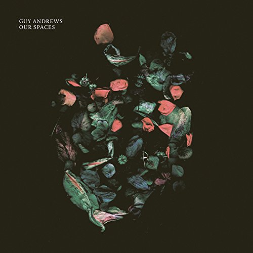 Album cover with a woman's face surrounded by green and pink leaves against a black background.
