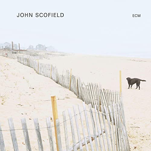 CD cover: beach scene with a wooden fence and a black dog.