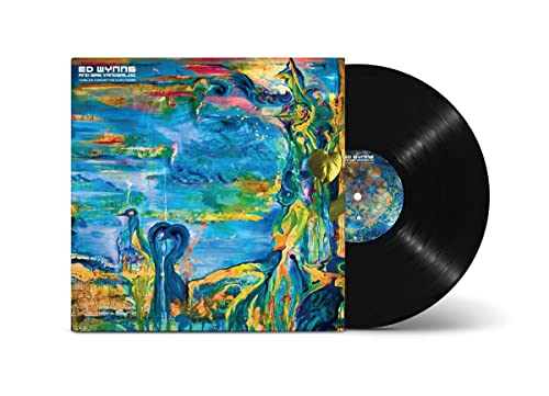 Vinyl record with colorful, abstract album art featuring birds and swirling shapes.
