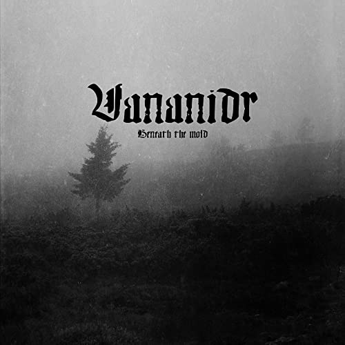 Black and white album cover with a lone tree in a misty landscape.