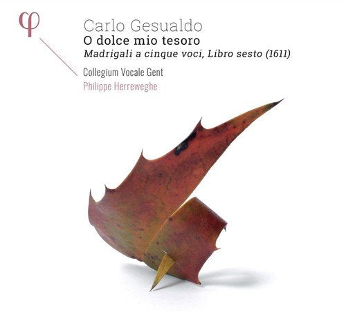 A CD cover featuring a red and brown leaf on a white background.