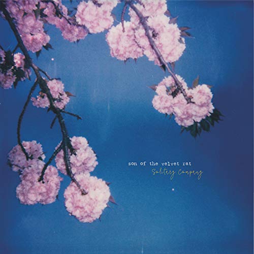 Album cover with pink blossoms against a deep blue background.