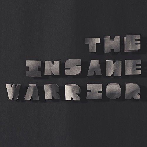 "Silver, 3D text 'THE INSANE WARRIOR' on a black background."