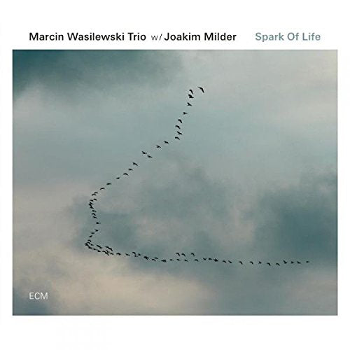 Album cover featuring a flock of birds flying in a cloudy sky.